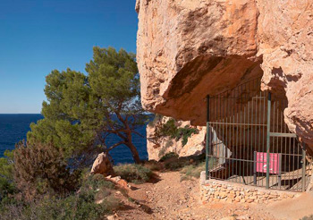 Cueva des vi